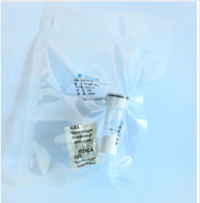 α-Conotoxin GID (CAS 547741-78-6) nAChR Antagonist Peptide for Neuroscience Research