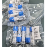 α-Conotoxin GID (CAS 547741-78-6) nAChR Antagonist Peptide for Neuroscience Research