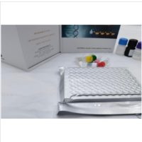 Human FDP (Fibrinogen Degradation Products) ELISA Kit for Clinical & Research Use