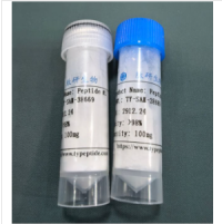 α-Conotoxin GID (CAS 547741-78-6) nAChR Antagonist Peptide for Neuroscience Research