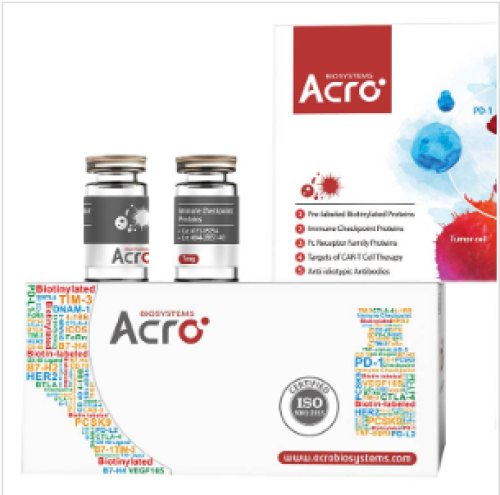 Recombinant Human CD19 Protein (ACROBiosystems), His Tag, SPR Verified, for CAR-T & Antibody Development