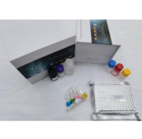 Human FDP (Fibrinogen Degradation Products) ELISA Kit for Clinical & Research Use