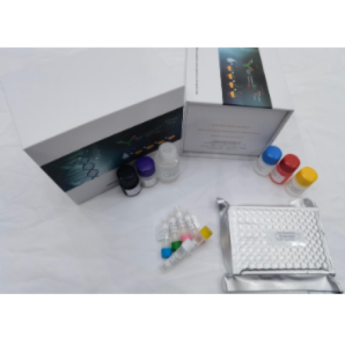 Human FDP (Fibrinogen Degradation Products) ELISA Kit for Clinical & Research Use